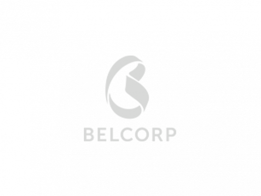 Belcorp Logo