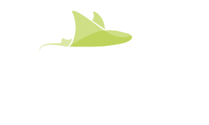LAGO TANA Logo